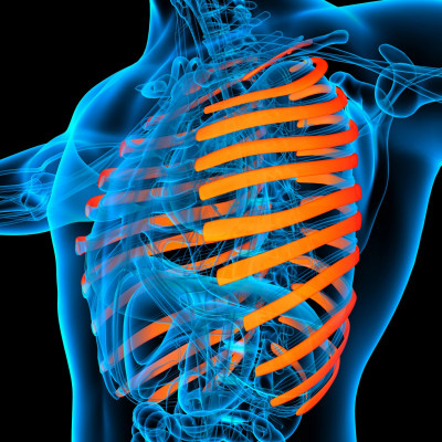 Een gekneusde of gebroken rib is een letsel waarbij er schade is aan een of meerdere ribben in het borstgebied.