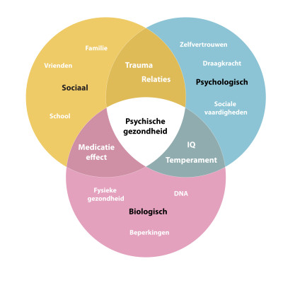 Het bio-psychosociaalmodel bij chronische pijnklachten.